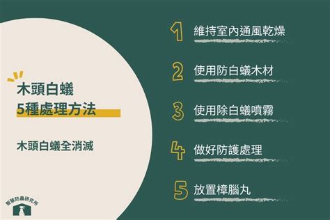 木頭白蟻處理|白蟻怕什麼？防治消滅方法整理包：防堵白蟻入侵5點。